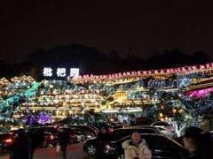 -枇杷园食为鲜火锅(南山店)
