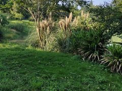 -杭州植物园