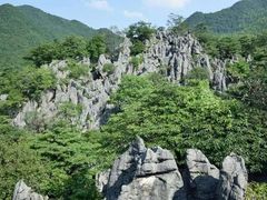 -千岛湖石林