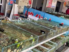 -南戴河海滨市场