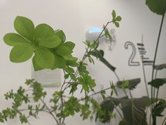 -嗒令甜品·主题融合料理餐厅(首座时代店)