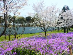 -苏州上方山国家森林公园
