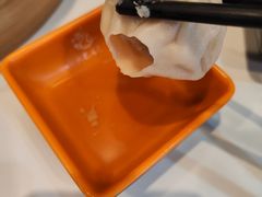 鲜肉小笼-大龙汤包