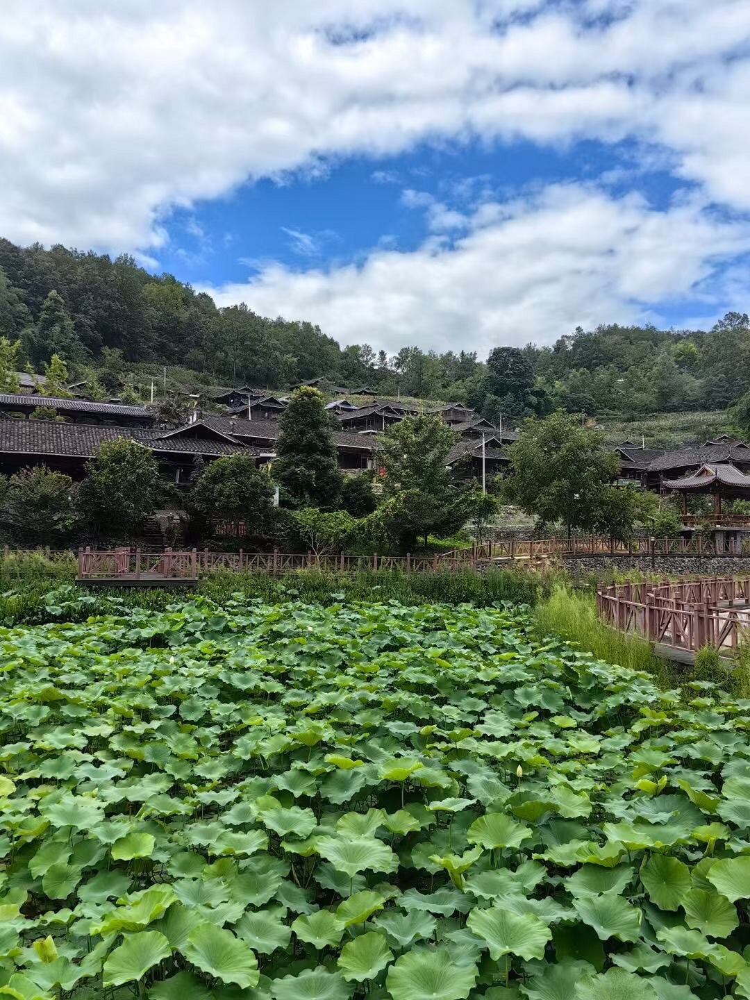 彭水鞍子镇罗家沱苗寨空气清新宜人