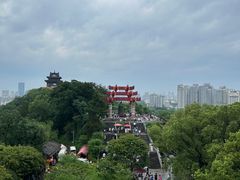 -黄鹤楼公园(黄鹤楼)