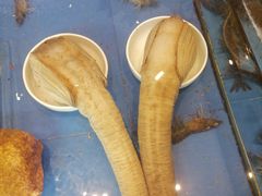 -山东八大碗山东老字号