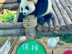 -大连森林动物园