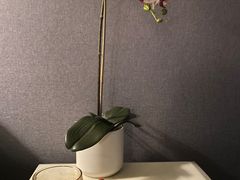 -璞·澐间影院式足道SPA(尚悦湾店)