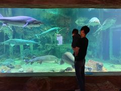 -华夏文旅海洋公园