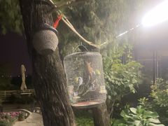 -蘇河湾·新鲁菜·泰山宴(泰山店)