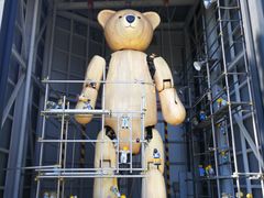 -济州岛泰迪熊博物馆