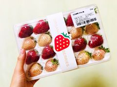 红白草莓-盒马鲜生(公园1903店)