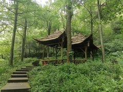 -青城山