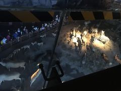 -自然博物馆(地铁站)