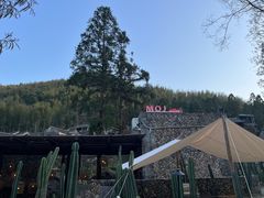 -MOJ coffee(瓯海泽雅水碓坑店)