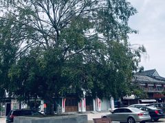 -溪口-滕头旅游景区