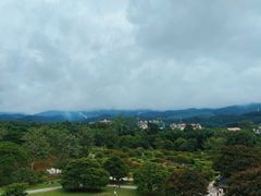 -中国科学院西双版纳热带植物园