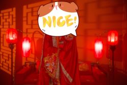 -金夫人婚纱摄影(华南店)