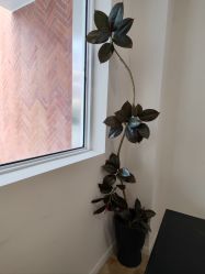 -WAVE SODA摄影工作室