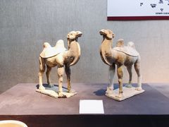 -安阳博物馆