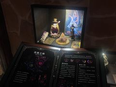 -雪灵魔法世界SHELLY’S TAROT(大良桂畔里店)