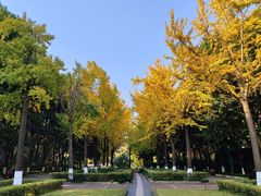 -苏州河梦清园环保主题公园