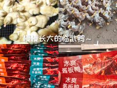 -郴州特产舜华临武鸭(郴州西站店)