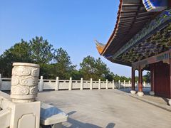 -铁山坪森林公园