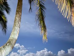 -三亚海棠湾万丽度假酒店