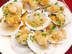 -沪碟·精菜坊(闵行店)