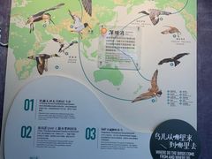 -福田红树林生态公园
