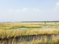 -野鸭湖国家湿地公园