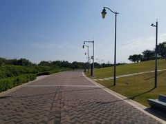 -深圳湾公园(南山区)
