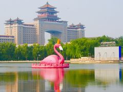 -莲花池公园
