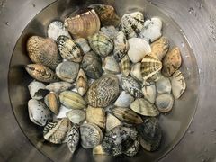-台山第一家兴华黄鳝饭·黄鳝婆(开平店)