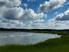 -塞罕坝国家级自然保护区