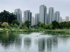 -牛岗山公园