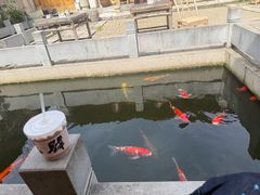 -羊楼洞