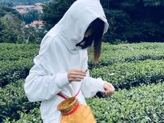 -军营村