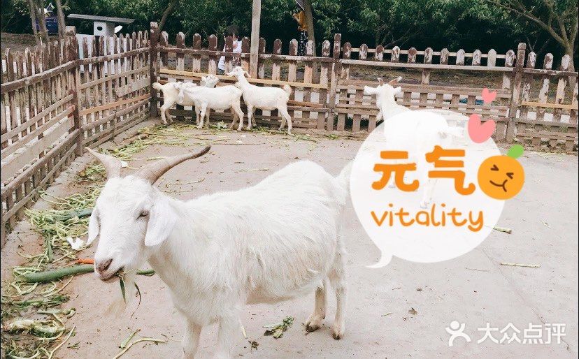 上海｜ 带着孩子👶快来这个亲子农场过六一吧
