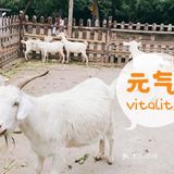 上海｜ 带着孩子👶快来这个亲子农场过六一吧