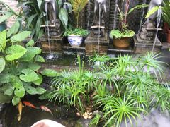 -润泽园椰子鸡(汇一城店)