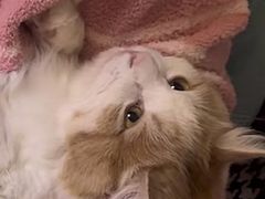 -紫光园·小馆(梨园店)