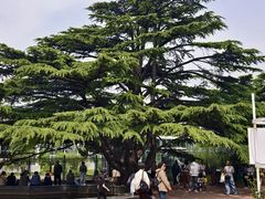 -国家植物园南园