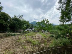 -塔川景区