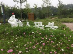 -东郊湿地公园