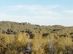 -塞罕坝国家级自然保护区