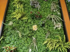 -锡笼记·无锡小笼(方塔店)