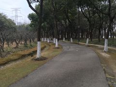 -昆山城市生态森林公园