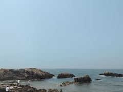 -小麦岛公园